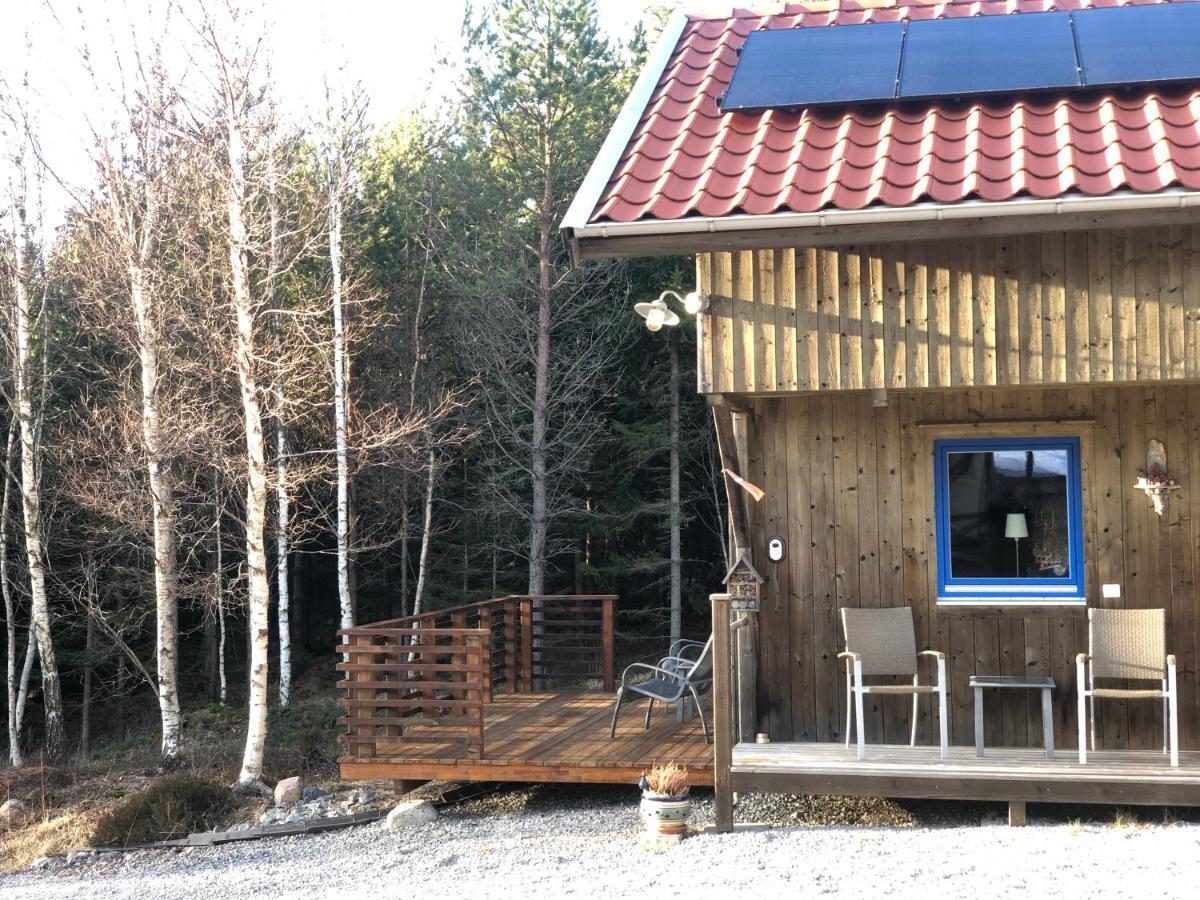 Mysig Och Modern Stuga Pa Snoegard, Naera Havet Och Naturen Lur  Luaran gambar