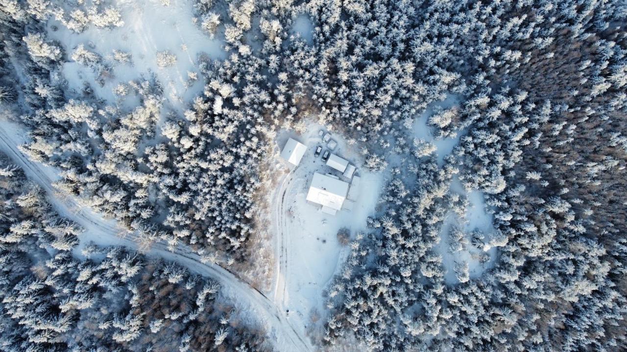 Mysig Och Modern Stuga Pa Snoegard, Naera Havet Och Naturen Lur  Luaran gambar