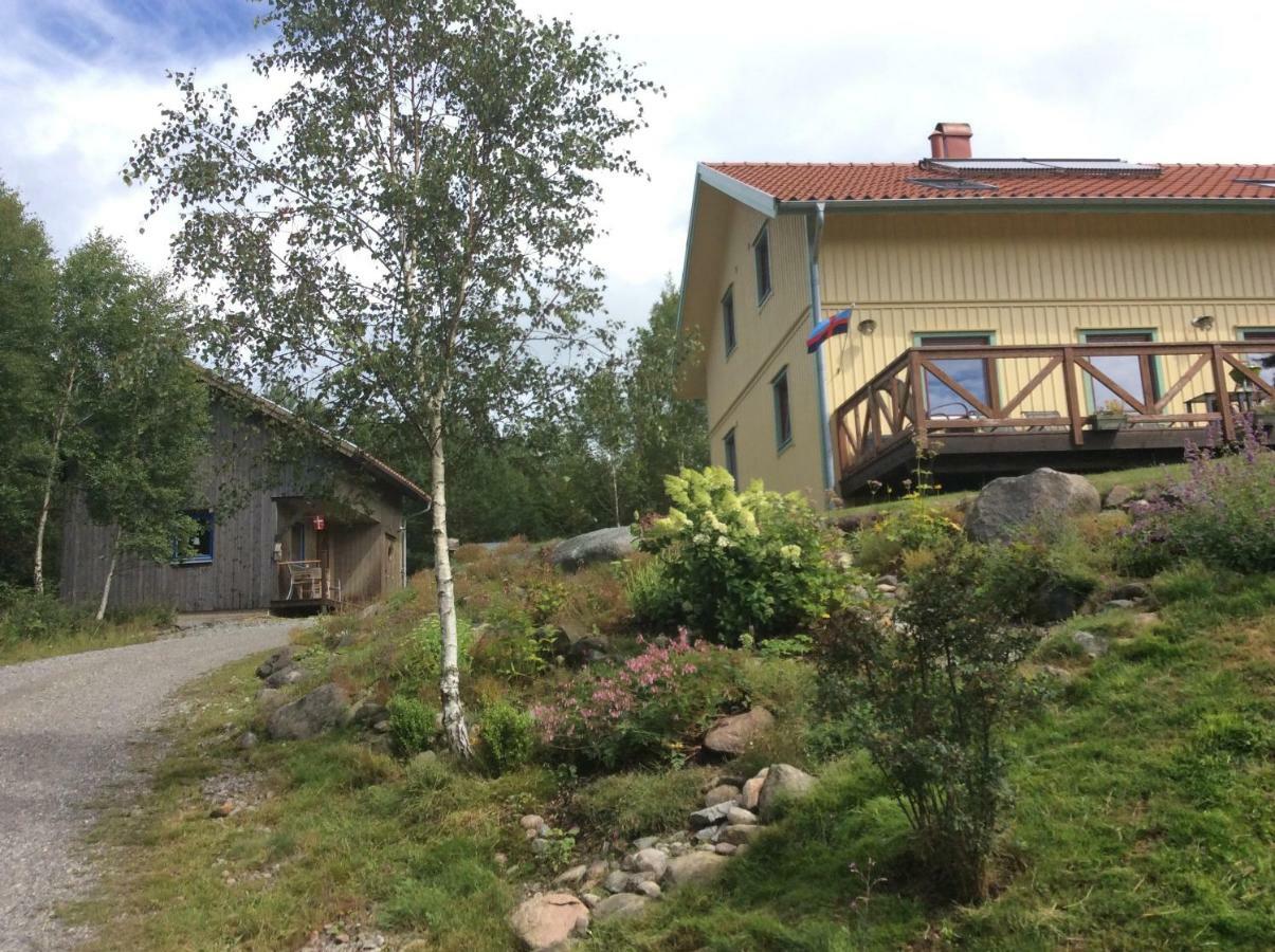 Mysig Och Modern Stuga Pa Snoegard, Naera Havet Och Naturen Lur  Luaran gambar