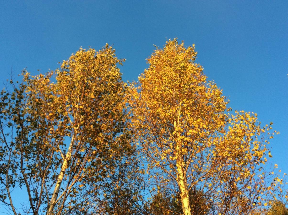 Mysig Och Modern Stuga Pa Snoegard, Naera Havet Och Naturen Lur  Luaran gambar